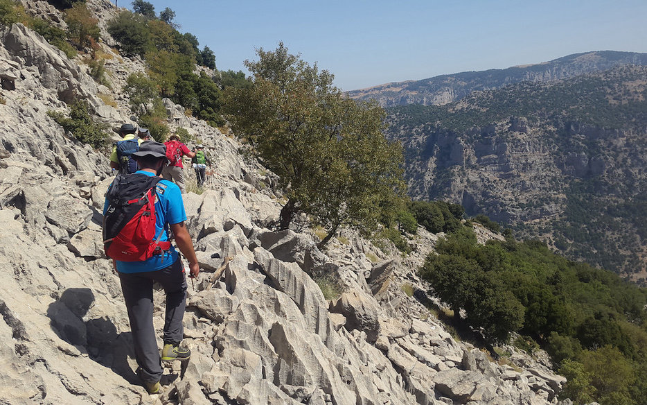 LMT 01 - Christian Akhrass - LMT Side Trail to Douma (Chatine, North Lebanon).jpg