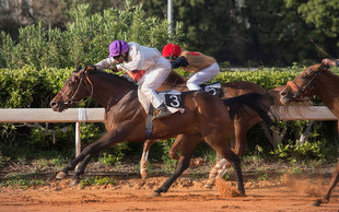 Beirut Hippodrome resists closure during its 100th anniversary