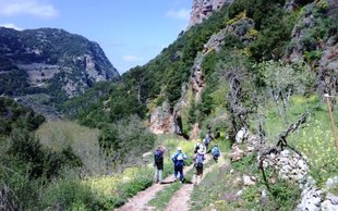 LMT 06 > Ehden - Ouadi Qannoubine