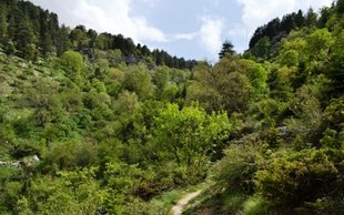 Ehden Nature Reserve