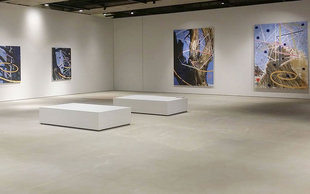 Saleh Barakat Gallery 